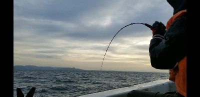 ドラゴンを求めて